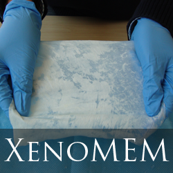 xenomem image